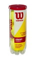 Wilson Tennisbälle Championship Dose 3er